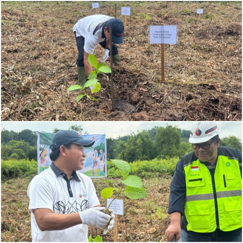 penanaman pohon di Taman Kehati Makroman